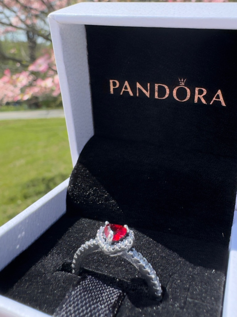 Pandora ring